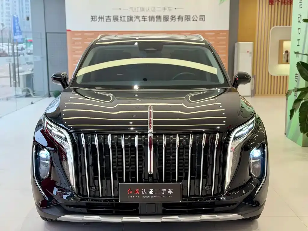 Hongqi HS7 PHEV 2025 из CN, фото 9