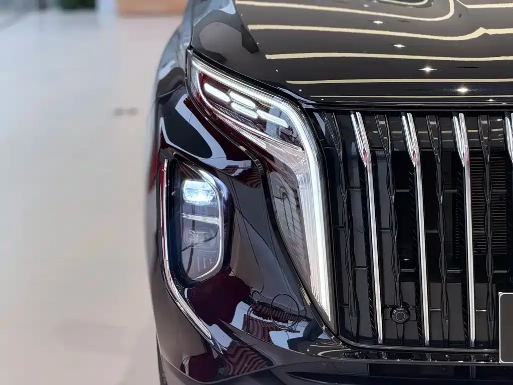 Hongqi HS7 PHEV 2025 из CN, фото 6