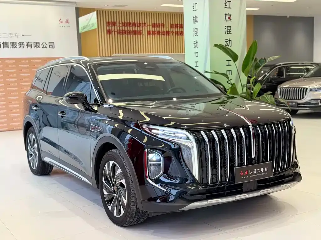Hongqi HS7 PHEV 2025 из CN, фото 5