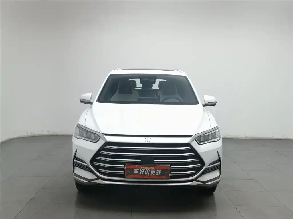 BYD Pro New Energy 2023 из CN, фото 2