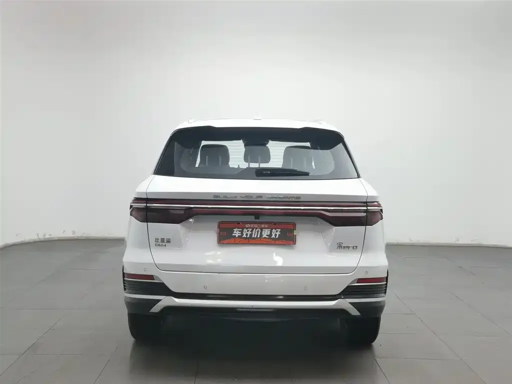 BYD Pro New Energy 2023 из CN, фото 6