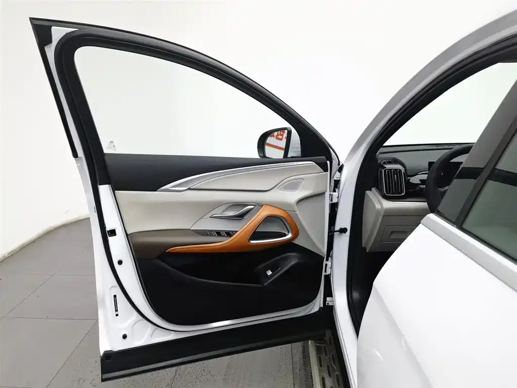 BYD Pro New Energy 2023 из CN, фото 3