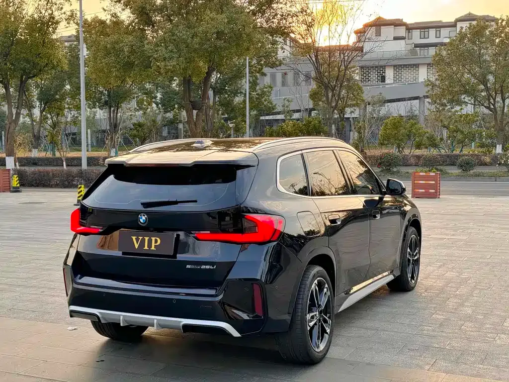 BMW X1 2023 из CN, фото 9