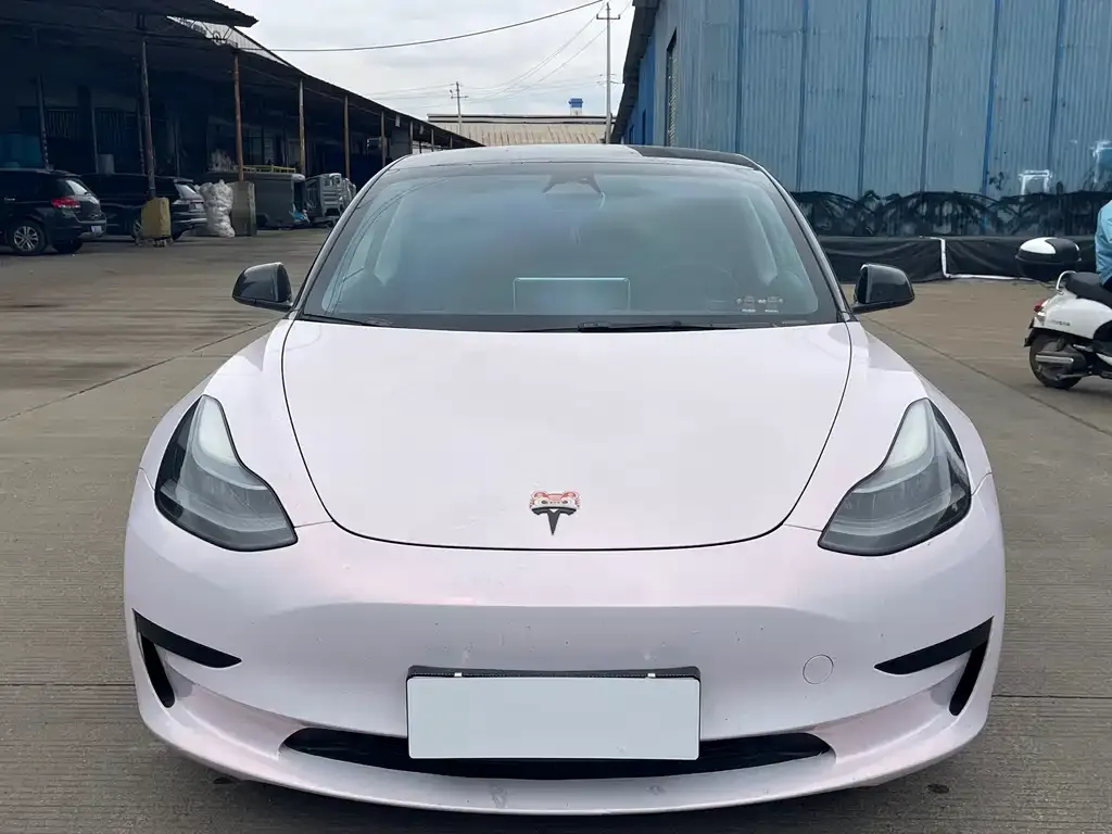 Tesla Model 3 2022 из CN, фото 5