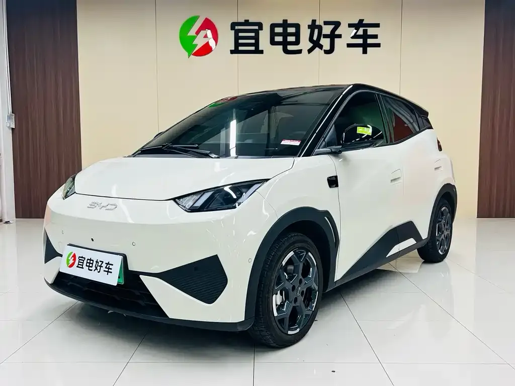 BYD Seagull