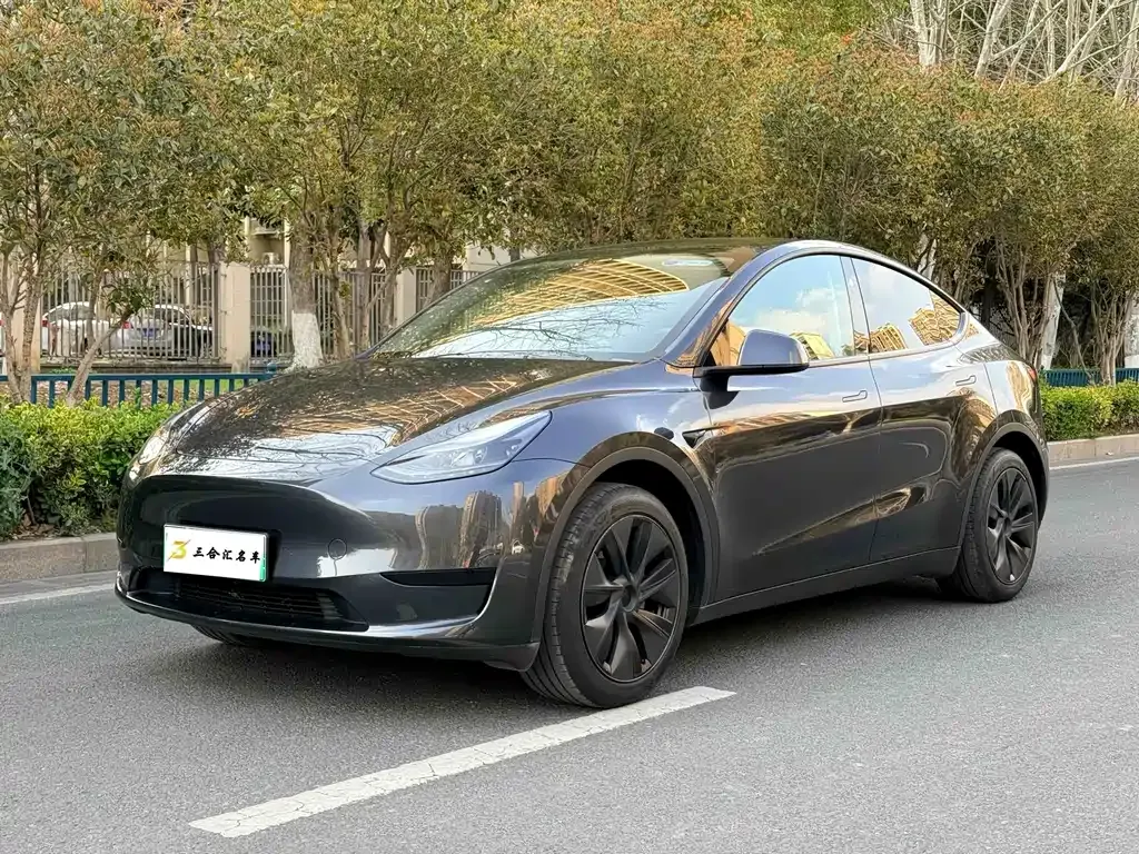 Tesla Model Y — фото 1