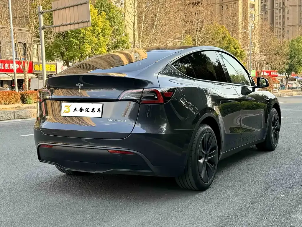Tesla Model Y — фото 8