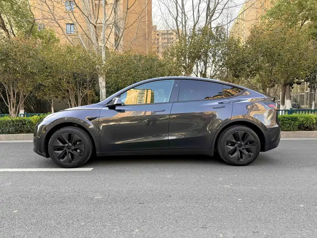Tesla Model Y — фото 9