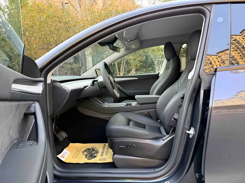 Tesla Model Y — фото 2