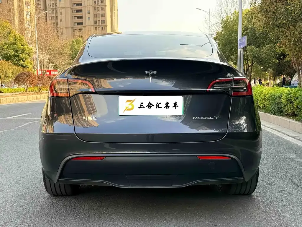 Tesla Model Y — фото 10