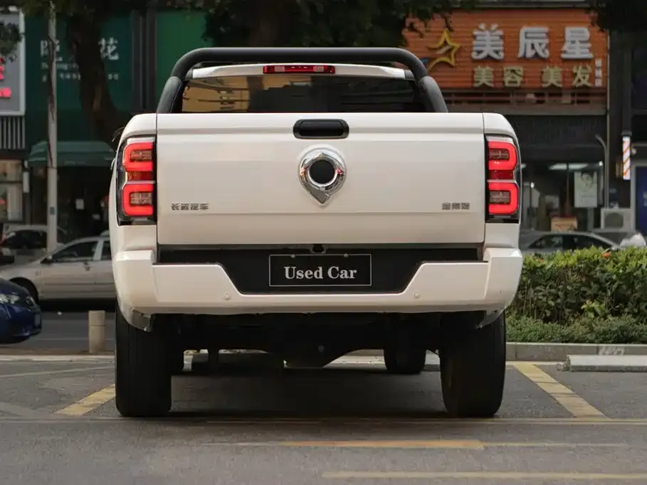 Great Wall King Kong Pao 2024 из CN, фото 4