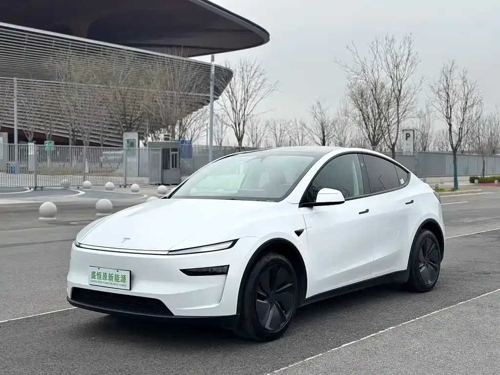 Tesla Model Y — фото 1
