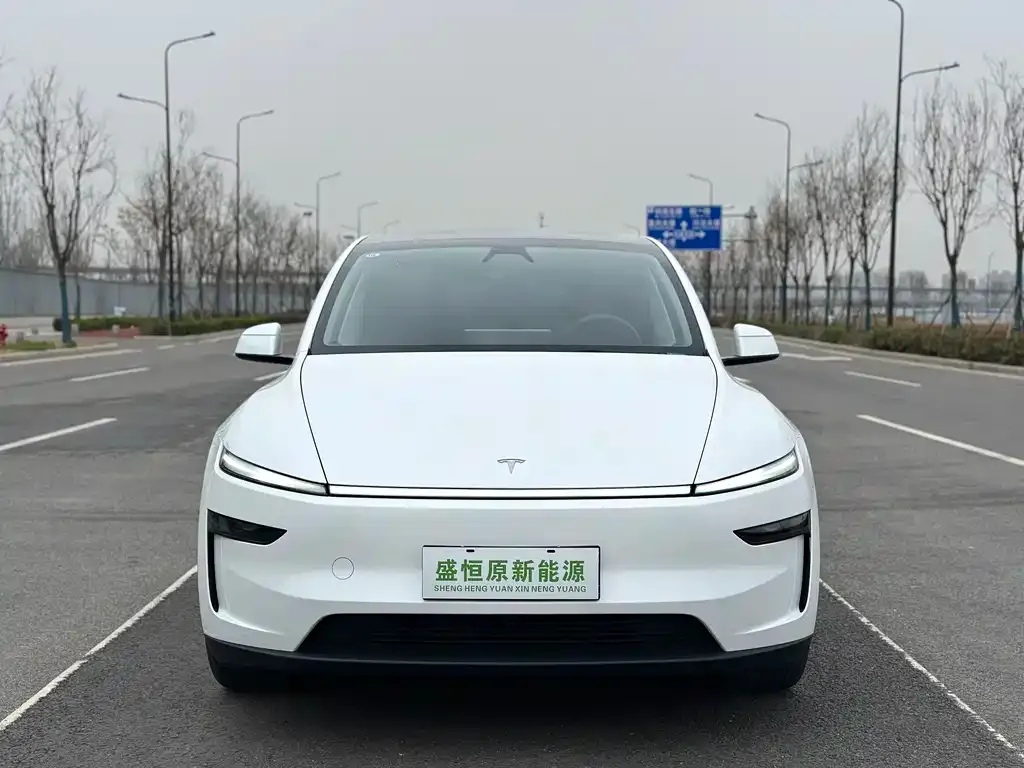 Tesla Model Y — фото 9