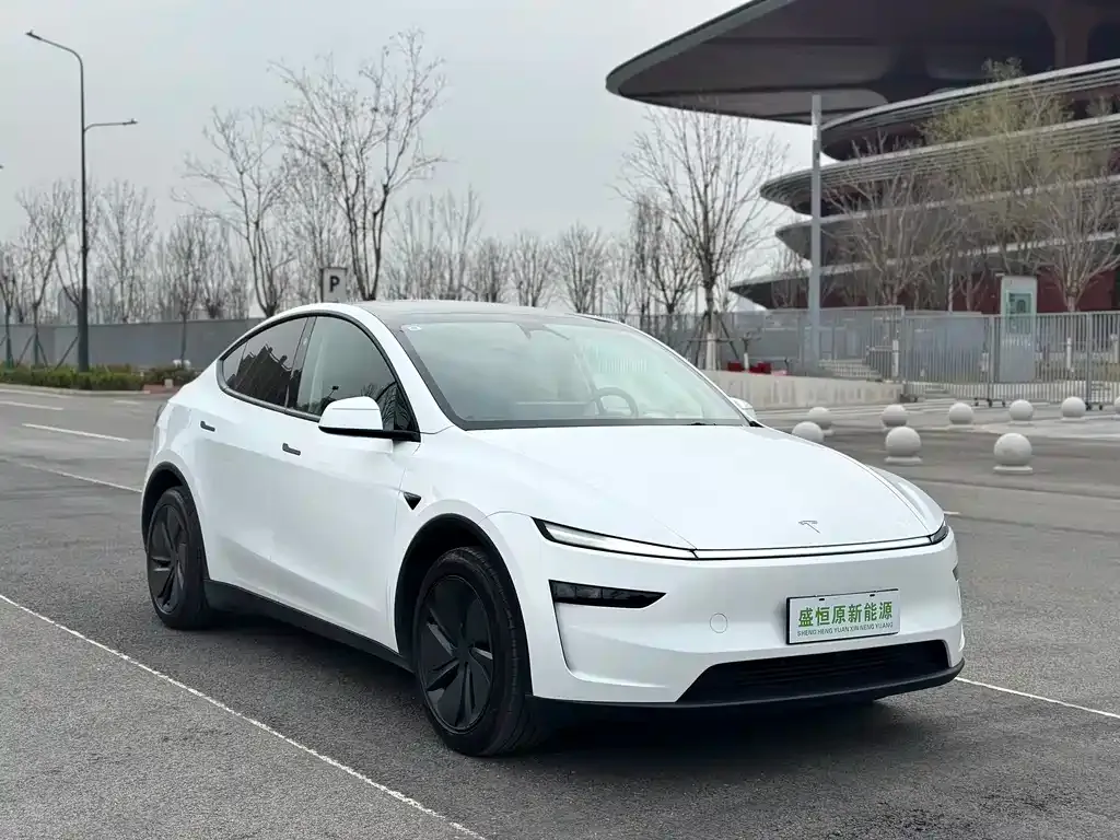 Tesla Model Y — фото 6