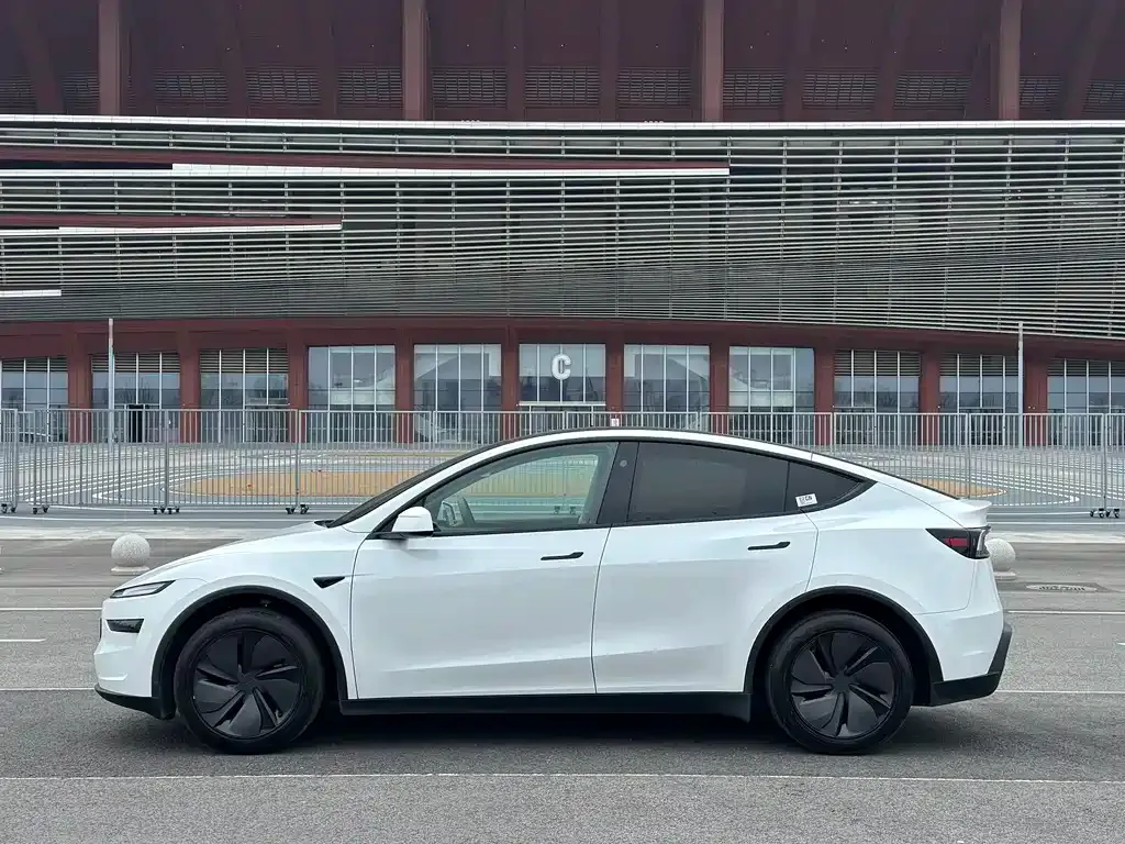 Tesla Model Y — фото 7
