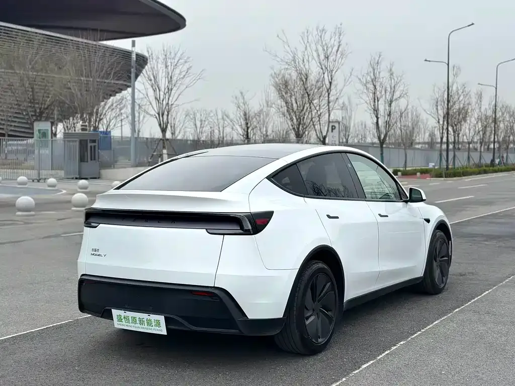 Tesla Model Y — фото 10