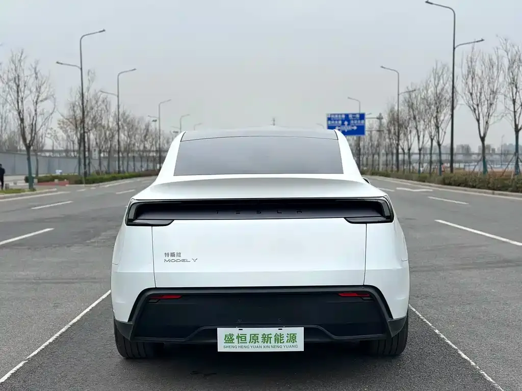 Tesla Model Y — фото 4
