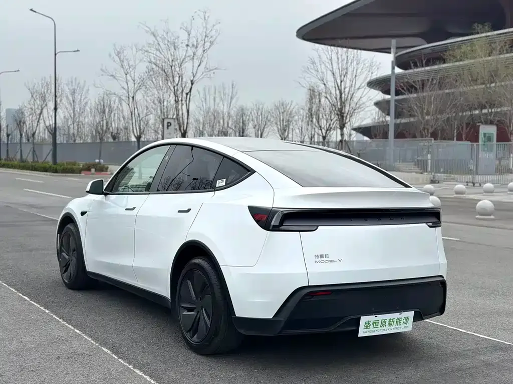 Tesla Model Y — фото 8
