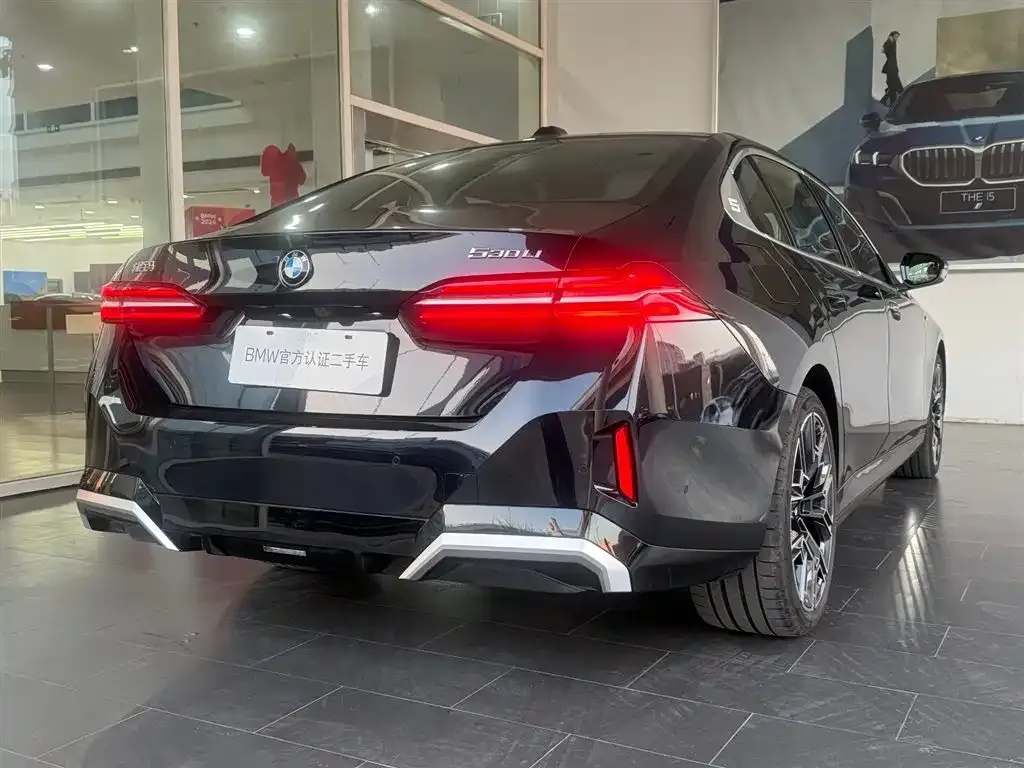BMW 5 Series 2025 из CN, фото 8