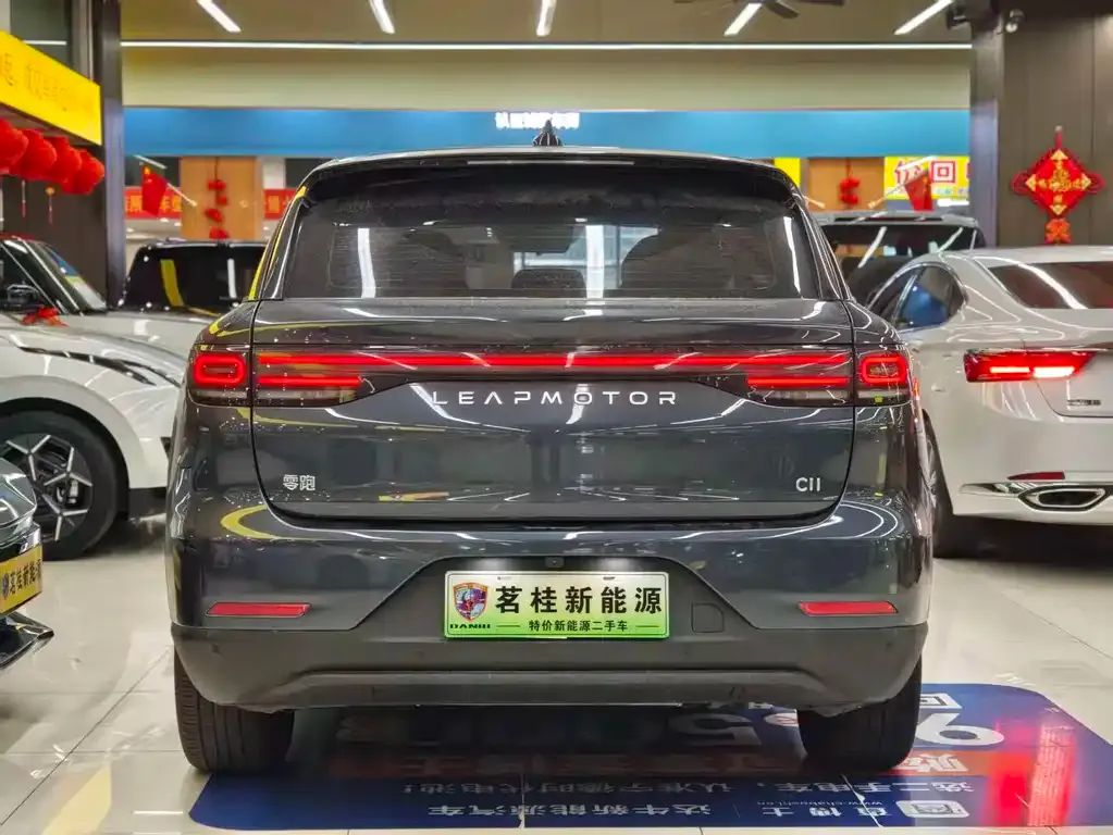 Leapmotor C11 2023 из CN, фото 4