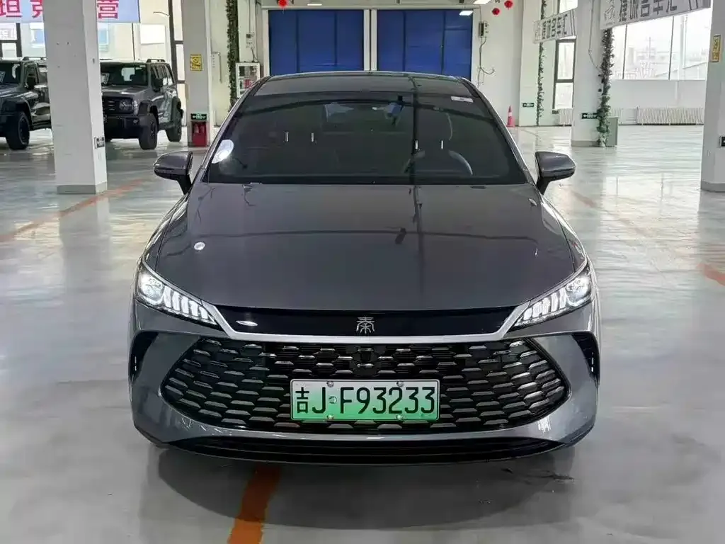 BYD Qin PLUS — фото 3