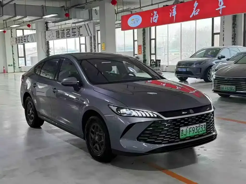 BYD Qin PLUS — фото 2