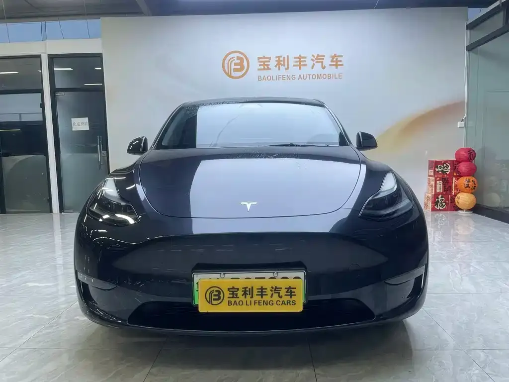 Tesla Model Y — фото 5