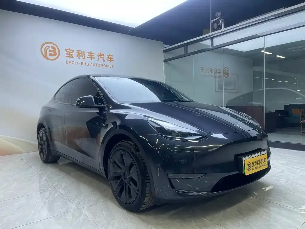 Tesla Model Y — фото 4