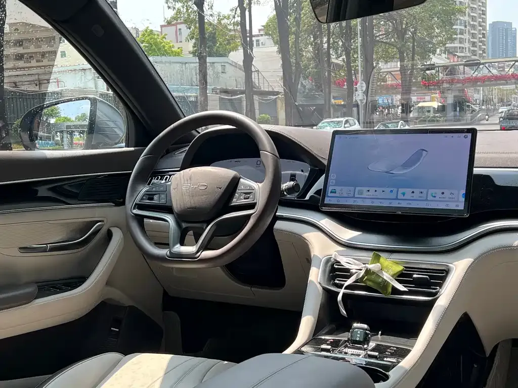 BYD PLUS New Energy — фото 4