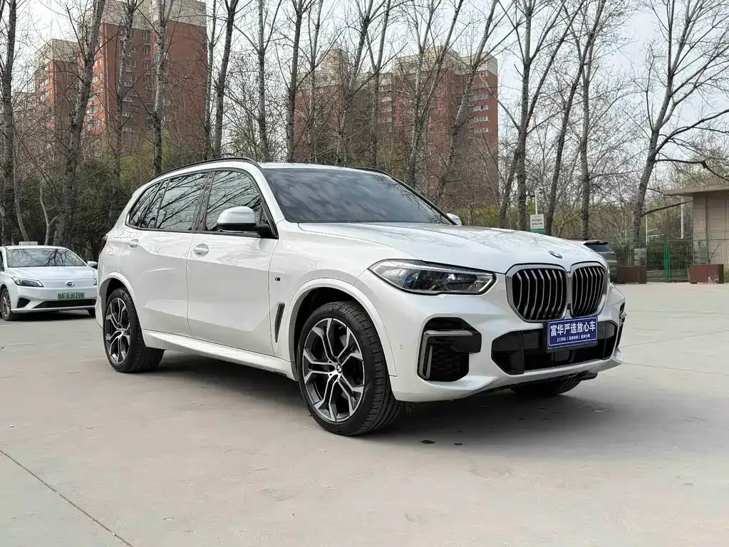 BMW X5 — фото 10