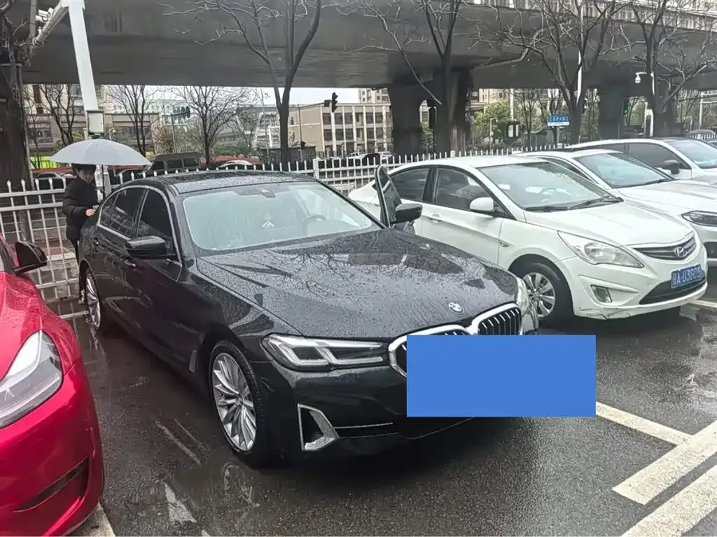 BMW 5 Series 2022 из CN, фото 6