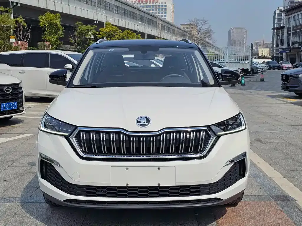 Skoda Kamiq 2022 из CN, фото 4