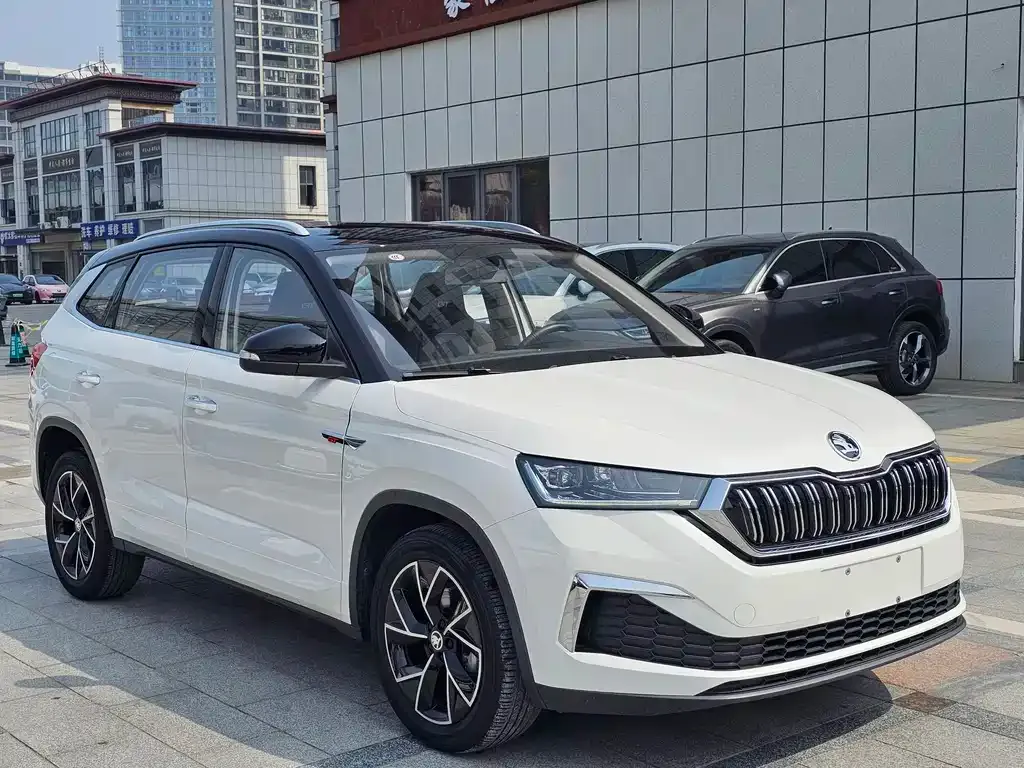 Skoda Kamiq 2022 из CN, фото 7