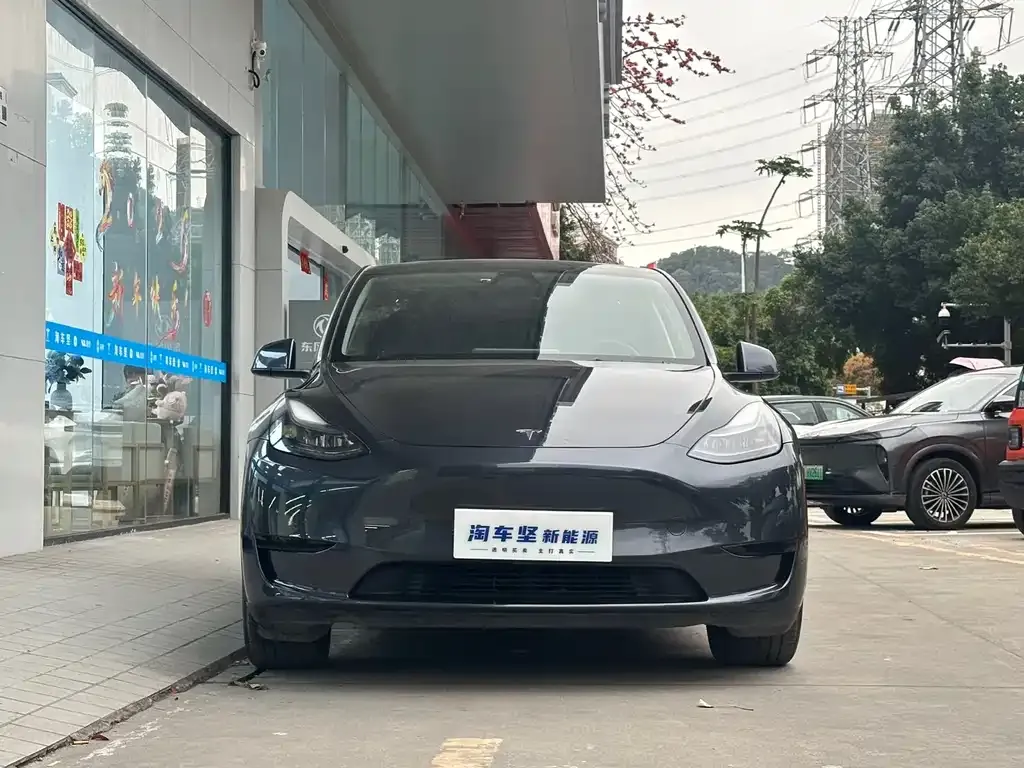 Tesla Model Y 2024 из CN, фото 4