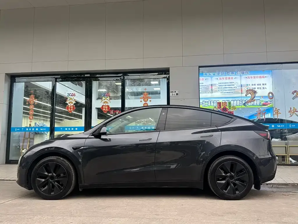 Tesla Model Y 2024 из CN, фото 6