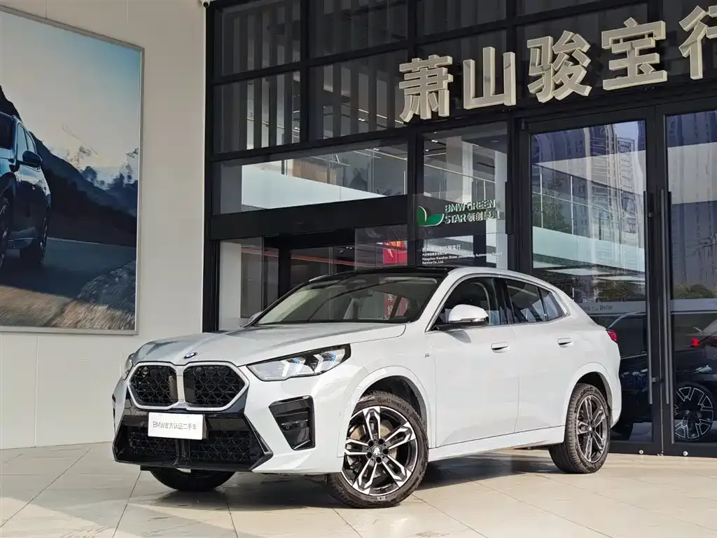 BMW X2 (Import) 2024 из CN, фото 1