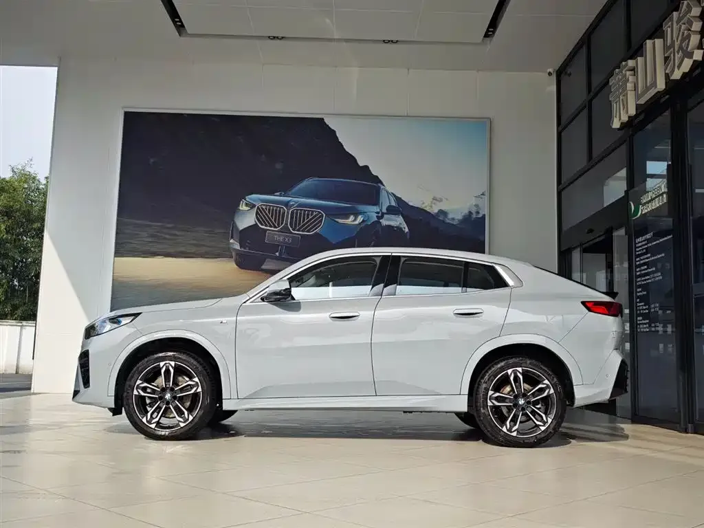 BMW X2 (Import) 2024 из CN, фото 5