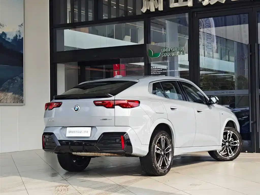 BMW X2 (Import) 2024 из CN, фото 6