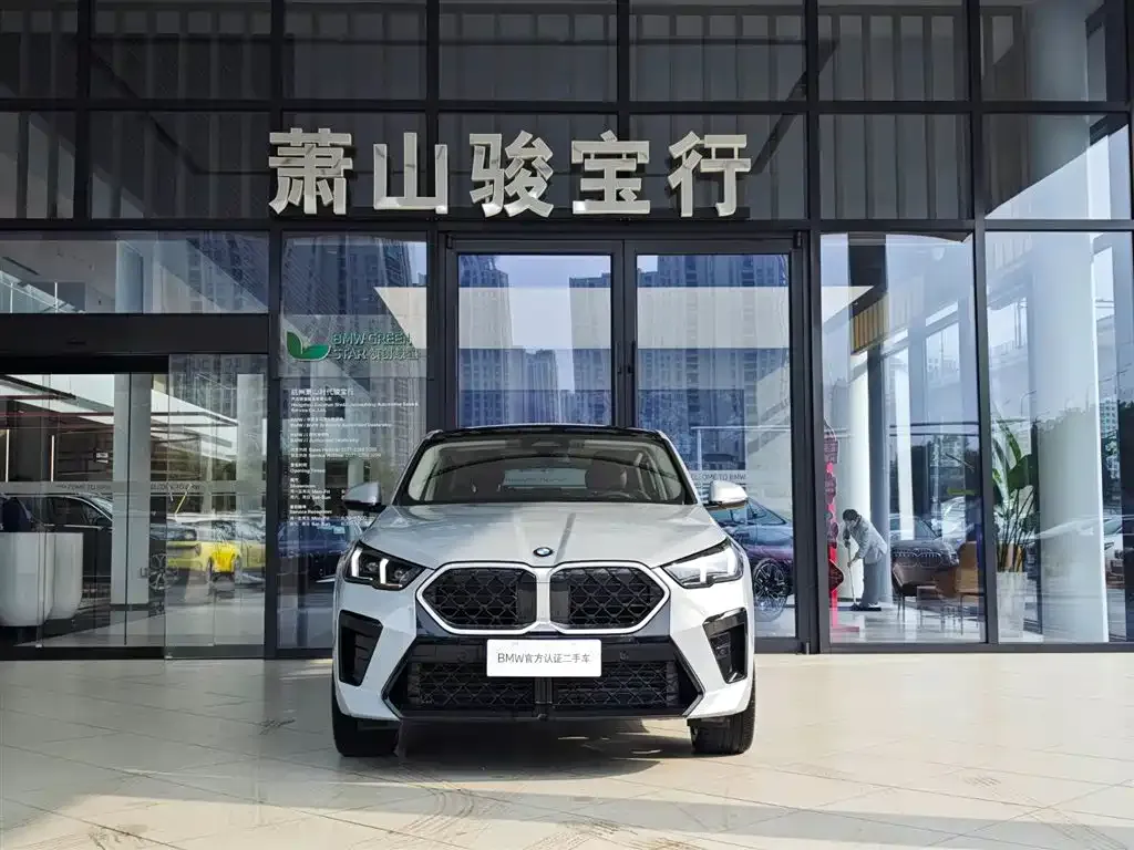 BMW X2 (Import) 2024 из CN, фото 4