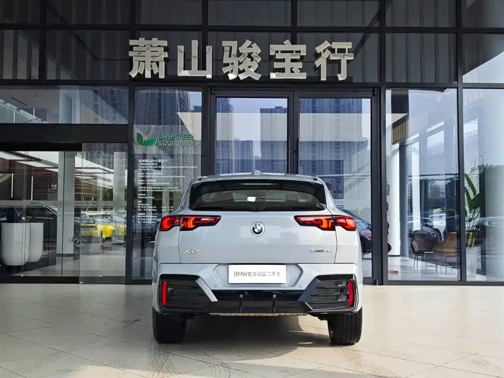 BMW X2 (Import) 2024 из CN, фото 8