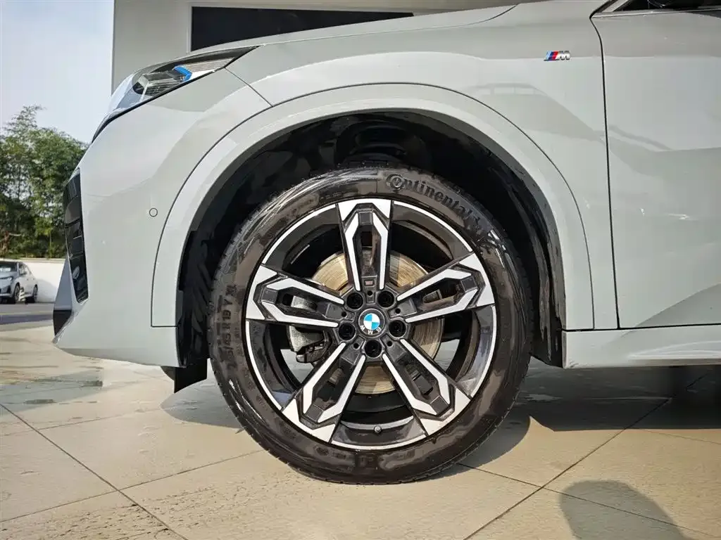 BMW X2 (Import) 2024 из CN, фото 9