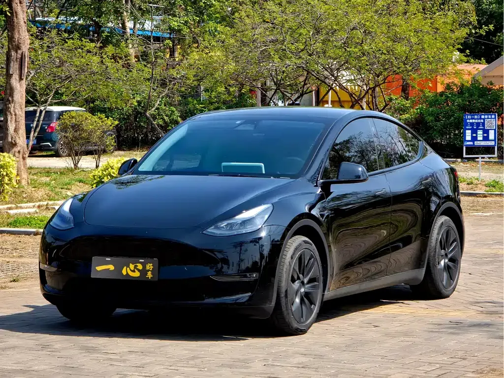 Tesla Model Y — фото 1