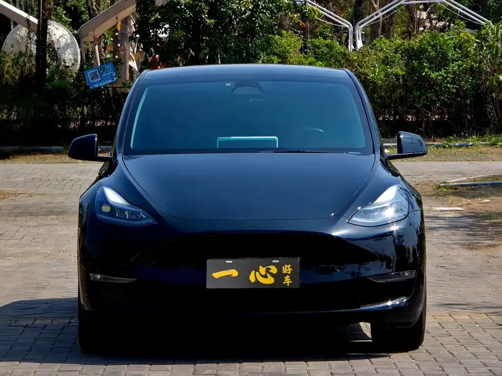 Tesla Model Y — фото 5