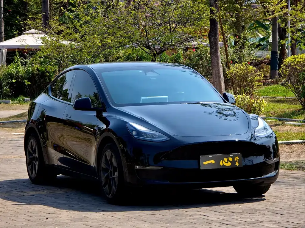 Tesla Model Y — фото 10
