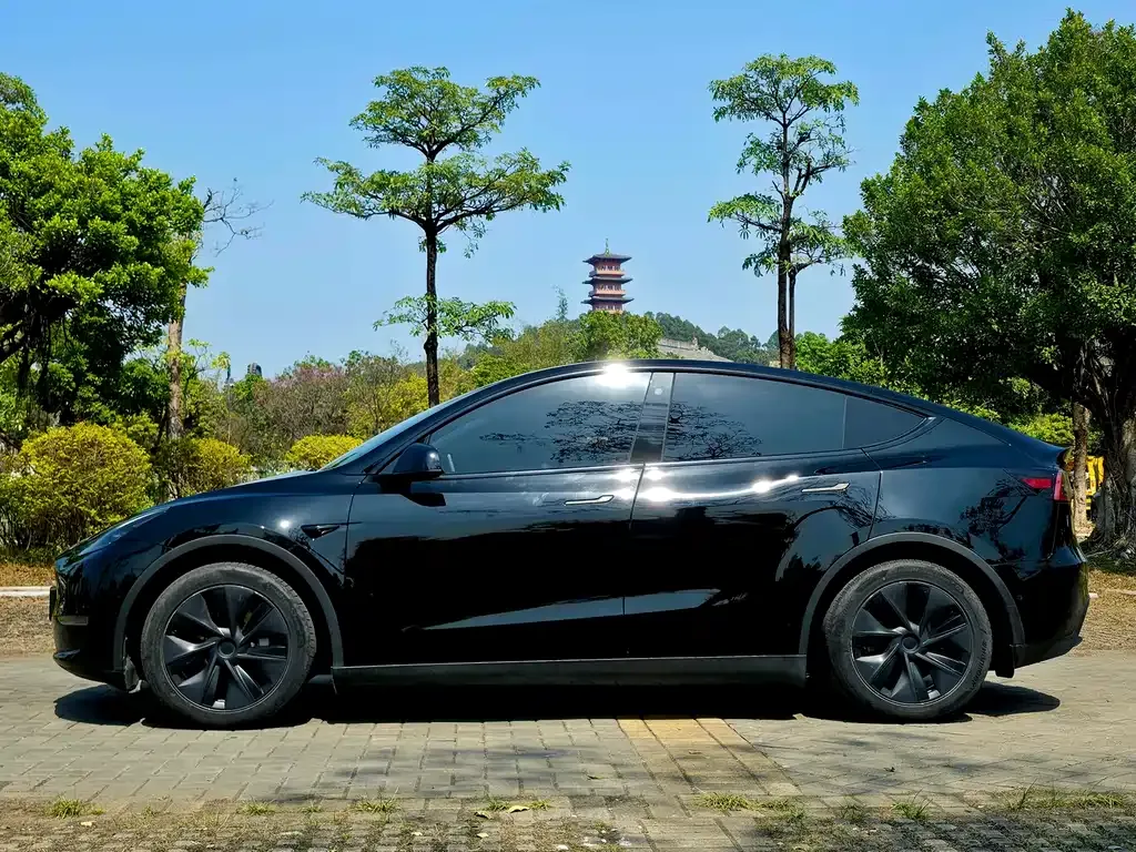 Tesla Model Y — фото 9
