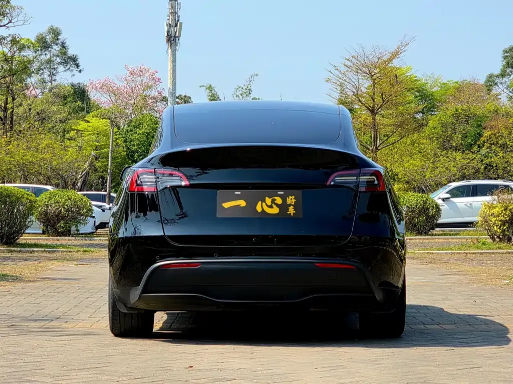 Tesla Model Y — фото 8