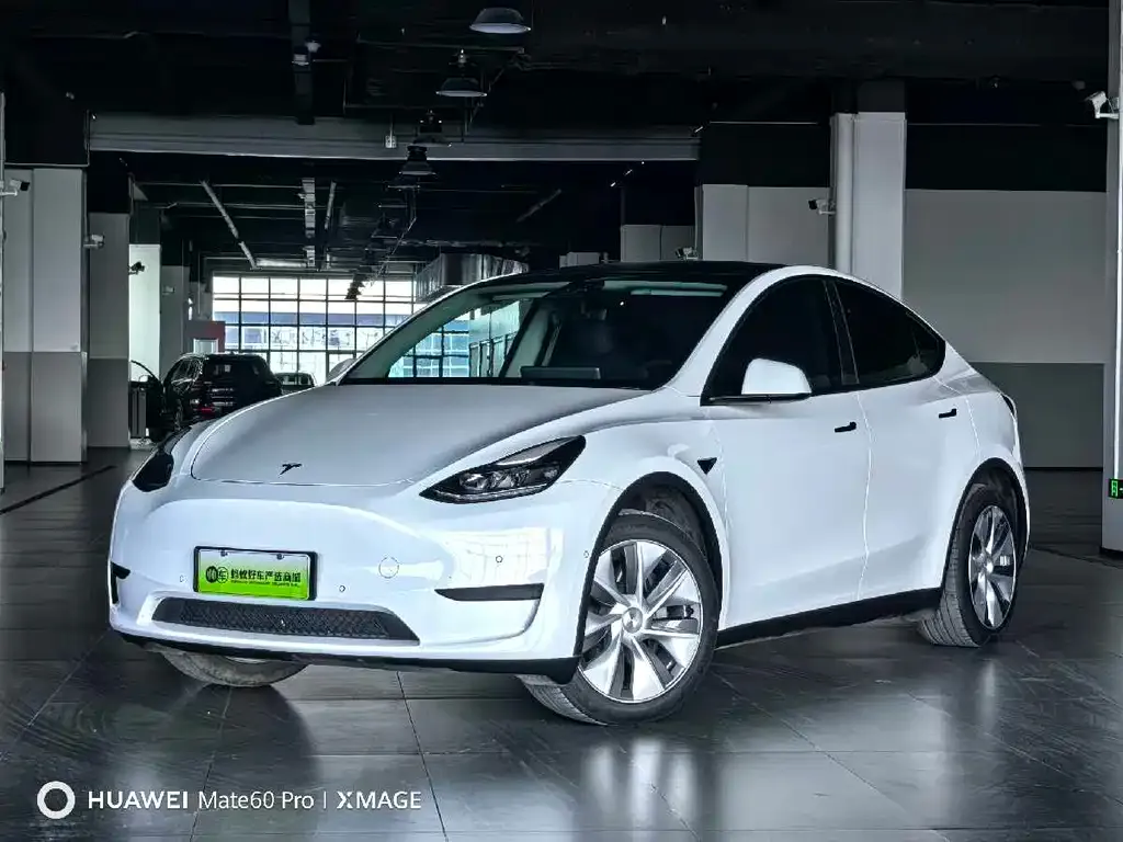 Tesla Model Y 2023 из CN, фото 1