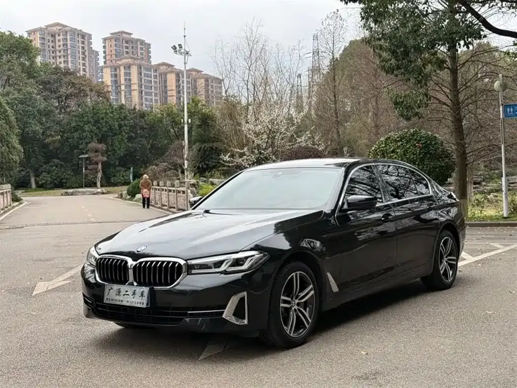 BMW 5 Series 2024 из CN, фото 1