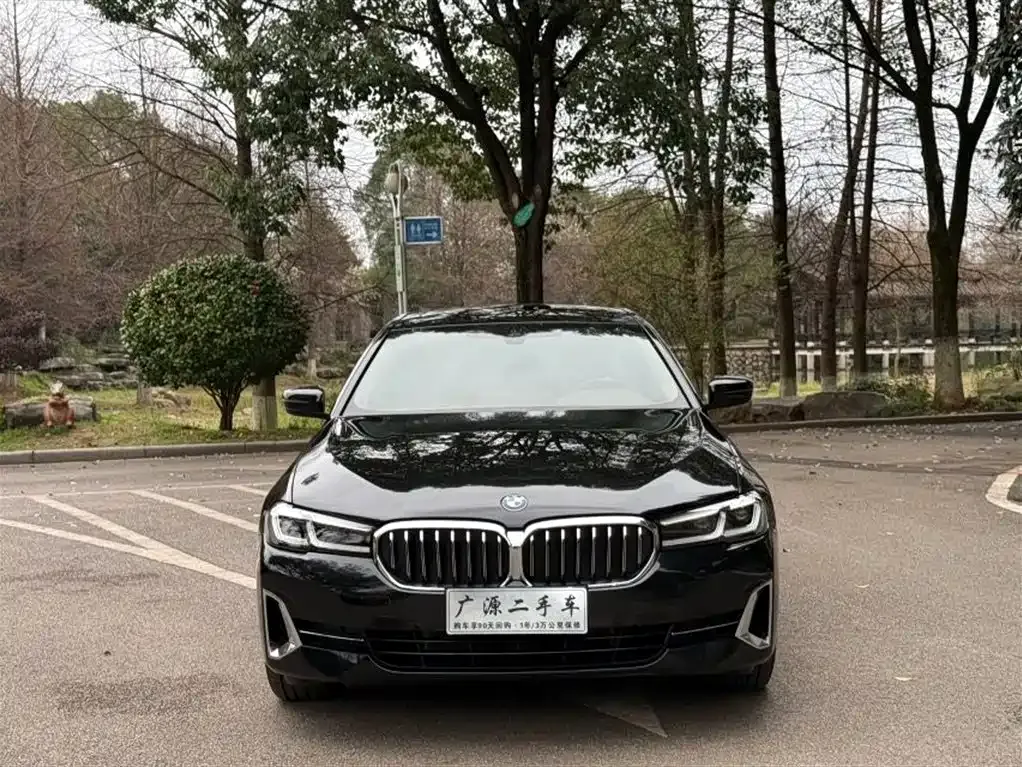 BMW 5 Series 2024 из CN, фото 9