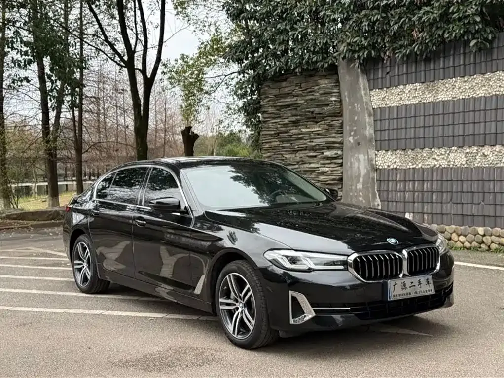 BMW 5 Series 2024 из CN, фото 2